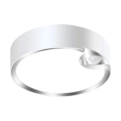 80LED Induction Ceiling Light for Home and Bedroom