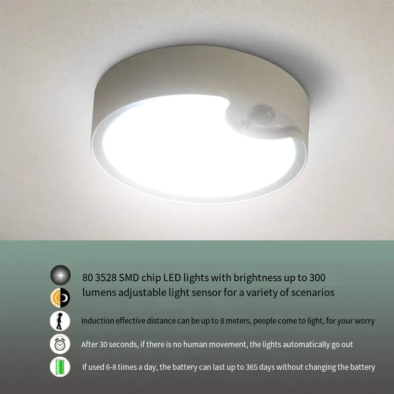 80LED Induction Ceiling Light for Home and Bedroom